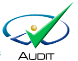 audit_logo_caseware